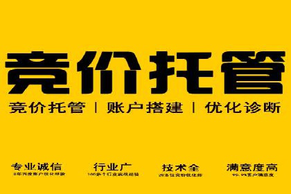 某公司通过SEM运营提升品牌知名度的实践